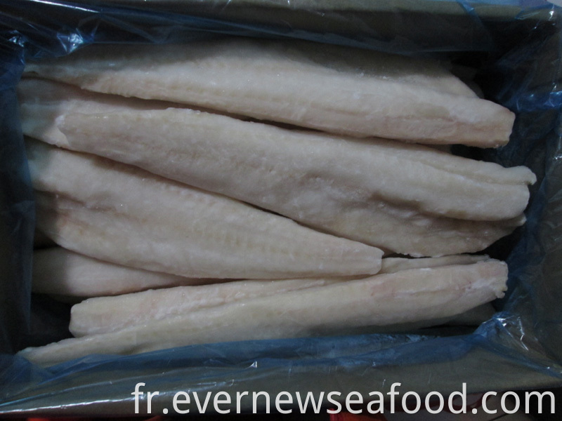 FAO 67 poisson de goberge d'alaska surgelé filet de goberge d'alaska